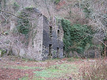 Abandoned building at New Quay.jpg