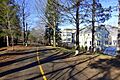 Alewife Linear Park - Cambridge, Massachusetts - DSC09185
