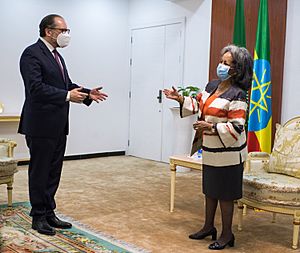 Alexander Schallenberg visit to Ethiopia, January 2021 09