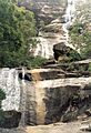 Alligator Creek Falls
