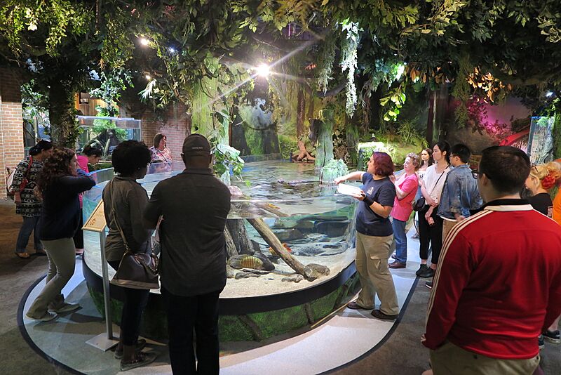 Aquarist Talk
