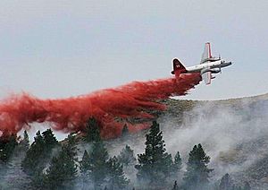 BLM Firefighting at Pine Mountain, Oregon (14186496134)