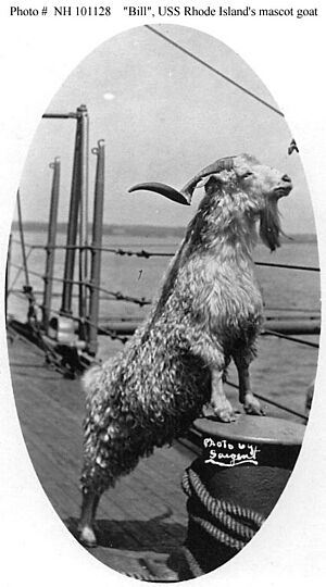 Billthegoat