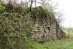 Blacksyke Lime Kilns, Caprington, East Ayrshire - end walling - view from the east