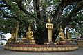 Buddha sculptures at That Luang
