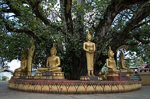 Buddha sculptures at That Luang