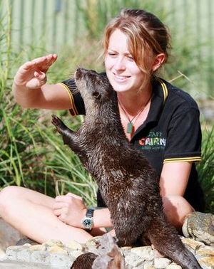 Cairns Safari ZooKeeper Otter