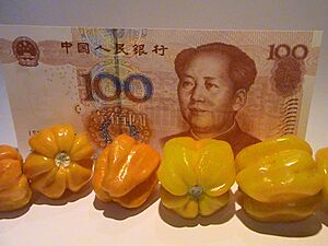 Capsicum chinense - Hainan Yellow Lantern Chili - 02