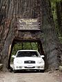 CarRedwoodLeggett01-05