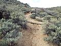 Carefree-Sears-Kay Ruin-A trail to the Past