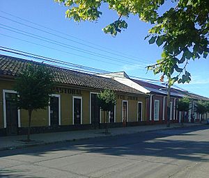 Casas San Javier