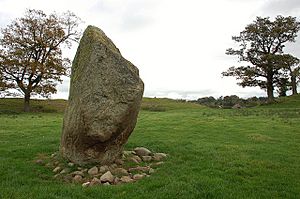 Central standing stone, Mayburgh Henge - geograph.org.uk - 1531363
