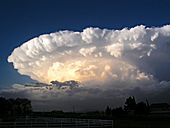 Chaparral Supercell 2
