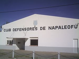 ClubDefensoresdeNapaleofú