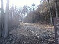 Cobblestone Path 2