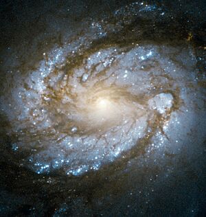 Core of Messier 100