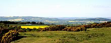 Cotswolds Cleeve Common.jpg
