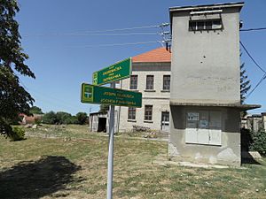 Dalj Street sign