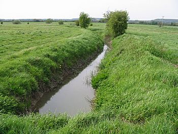 Ditch between fields, looking W towards the Great Stour - geograph.org.uk - 793660.jpg