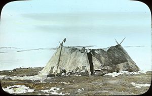 Double tent of two Kanghiryuarmiut families at Lake Numichion (36985 LS)