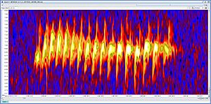Dusky Grasswren spectrogram