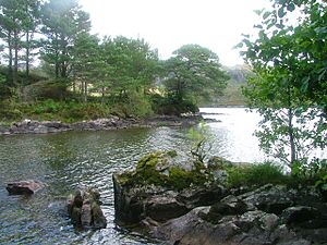 Eilean Bàn - geograph.org.uk - 2548436