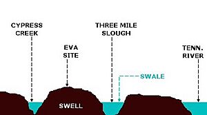 Eva-archaic-site-profile-tn1