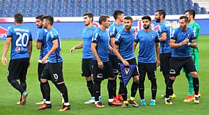 FC Salzburg gegen FC Viitorul Constanța (24. August 2017) 33