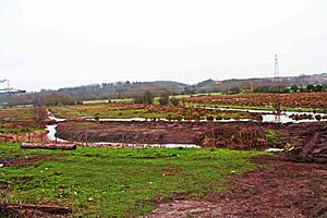 Fields near Oldington Bridge, near Kidderminster (geograph 2928972).jpg