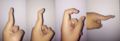 Finger phalanges movement