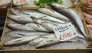 Fish - Mercato Orientale - Genoa, Italy - DSC02485