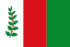 Flag of San José de Albán