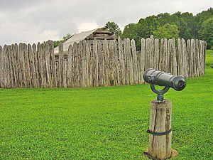 FortNecessityWithCannon