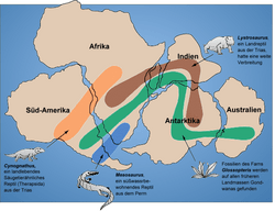 Gondwana fossil map ger