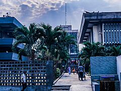 Green Spaces in University of Lagos 20