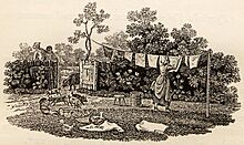 Hanging Washing with Pigs and Chickens tail-piece in Bewick British Birds 1797