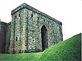 Hermitage Castle - geograph.org.uk - 201651