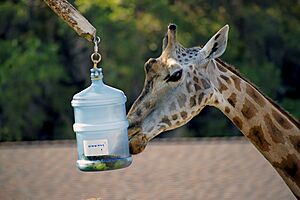Hogle Zoo, Salt Lake City Utah