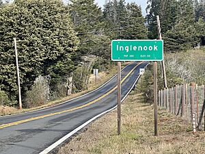 Inglenook, California - November 2022 - Sarah Stierch.jpg