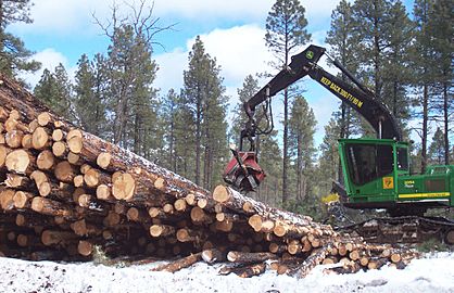 John Deere 2054 DHSP forestry swing machine, Kaibab National Forest 1