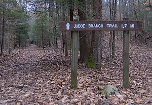 Judge-branch-trail-frozenhead-tn1
