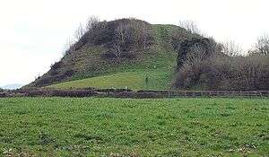 Knockgraffon Motte, New Inn, County Tipperary