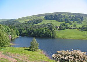 Ladybower June2006