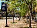 Lascolinasblvd