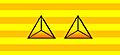 Lieutenant General rank insignia (ROC, NRA)