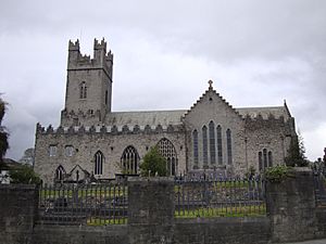 LimerickCICathedral