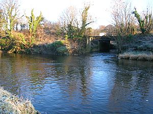 Lugton Water and Garnock Confluence