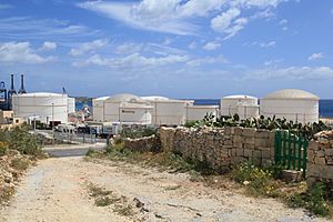 Malta - Birzebbuga - Freeport (Triq Benghajsa) 07 ies