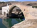 Mamaluk Malabadi Bridge- 1146 AD