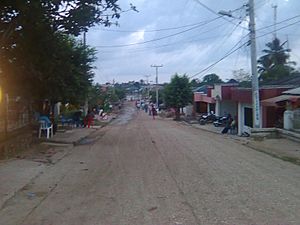 View of Manatí